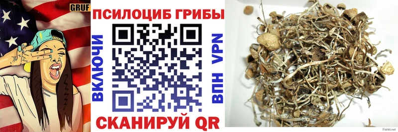 OMG ONION  Бикин  Псилоцибиновые грибы MAGIC MUSHROOMS 